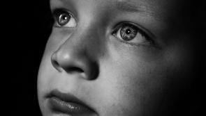 'Inhumane' - Council hears 15 families are in emergency accommodation in Offaly 