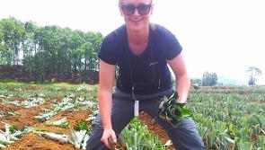 Offaly graduate benefits from Costa Rica placement 