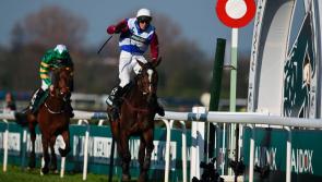 Lucky Midlands punter nets whopping €36,750 from a €100 bet