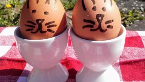 MONDAY MOTIVATION: Egg-citing Easter activities for all the family