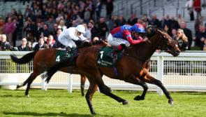 THE PUNTER'S EYE: Offaly's Pat Smullen worth following at Leopardstown this evening
