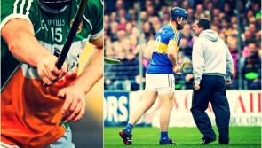 Offaly legend labels Davy Fitzgerald 'childish' after on-pitch antics 