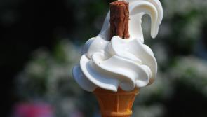 VOTE: Which shop serves up the best 99 ice cream in Offaly? 