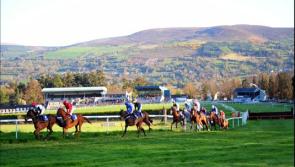THE PUNTER'S EYE: Four horses that can land the odds at Clonmel tonight 