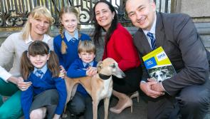 Offaly woman calls for animal welfare to be introduced on school curriculum 