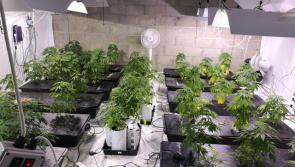 BREAKING: €180,000 worth of drugs seized in midlands raid