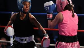 Eight countries to converge on Offaly for boxing training camp 