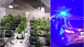 Offaly drugs seizure part of €1.2 million garda haul