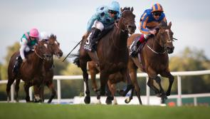 COMPETITION: Win five tickets to the Dubai Duty Free Irish Derby