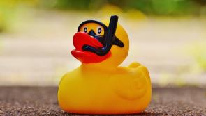 Offaly town to host unique 'Duck Race' fundraiser