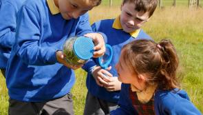 GALLERY: Offaly youngsters take part in Bord na M&oacute;na&rsquo;s Eco Rangers Programme