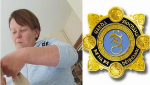 Gardaí appeal for information to trace missing Offaly woman 