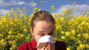 Ten top tips for dealing with hayfever this summer