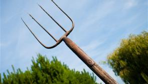 Midlands man who threw pitchfork during feud row has sentence cut on appeal