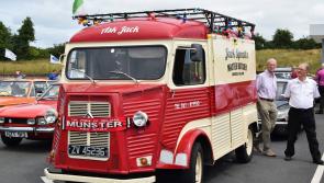 GALLERY: Stunning vintage cars assemble in Offaly