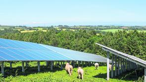 Permission sought for construction of solar farm in Offaly