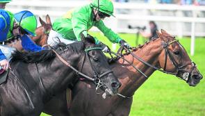 THE PUNTER'S EYE: Four horses worth backing this weekend