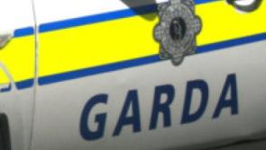 Two dogs stolen in midlands burglary 