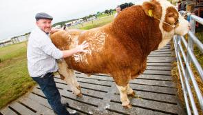 Long awaited return of Europe's biggest on day agricultural show to Offaly
