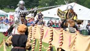 Irish Game & Country Fair moved from Birr 'will return to the Midlands' 