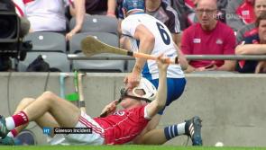 OPINION: Austin Gleeson should have been banned for All-Ireland final 