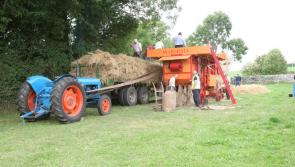 Offaly prepares for 'Black Bull' Threshing Festival 