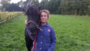 Offaly  family &lsquo;devastated&rsquo; as pony killed by &lsquo;pack of dogs&rsquo;