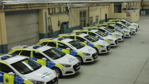 ‘Severe concerns’ about challenges faced by Gardaí - Lowry