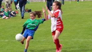 Offaly Ladies Football prepare for underage blitz