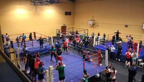 International boxers flock to Offaly for training camp 