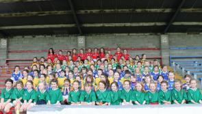 Offaly Camogie Notes (September 4)