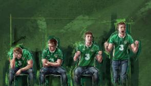 15 things we all go through watching an Ireland match