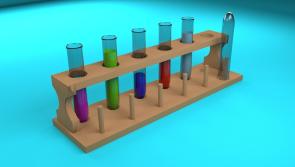Offaly schools announced as Science Foundation award winners 