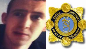 Gardaí launch appeal to find young man missing from the Midlands
