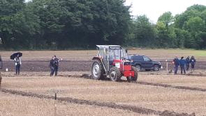 Offaly competitors excel at 2017 National Ploughing Championships 