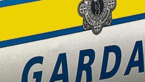 Cash stolen during early morning burglary at house in Tullamore