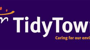 What the Tidy Towns judges said about Banagher