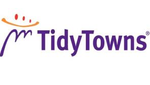What the Tidy Towns judges said about Rhode