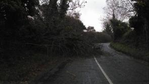 Civic amenity centres reopen in Offaly as council crews continue clean up after Storm Barra