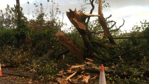 PHOTOS: The clean-up continues in Offaly after Hurricane Ophelia destruction