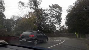 BREAKING: Trees coming down in Offaly as a result of Storm Brian 