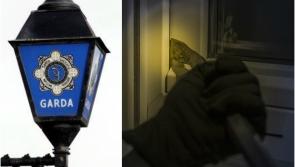 Muintir Na T&iacute;re Community Alert available to help local communities tackle rural crime and fear