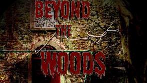 Offaly man's debut feature film set for international release 