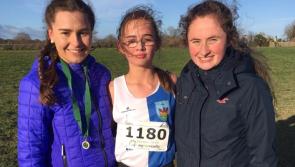 Tullamore Harriers Report (November 13)