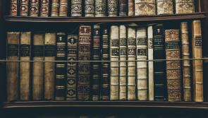 Obama Plaza lecture to explore 1,000 years of Offaly history 