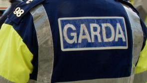 Gardaí seek witnesses after man stabbed in wooded area on St Stephen's Day