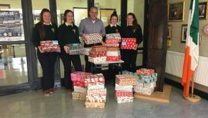 Offaly students contribute to worthy Christmas shoebox appeal 