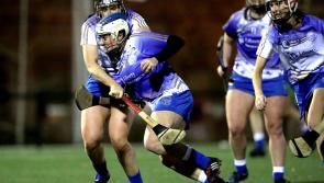GALLERY: Offaly star on winning side as Camogie goes on Tour in Madrid