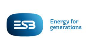 Edenderry plunged into darkness after massive power cut 