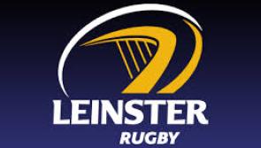 Councillor tackles Offaly County Council payment to Leinster Rugby 